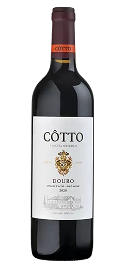cotto tinto