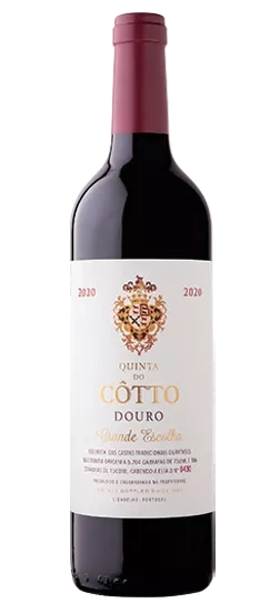 cotto-grande-escolha